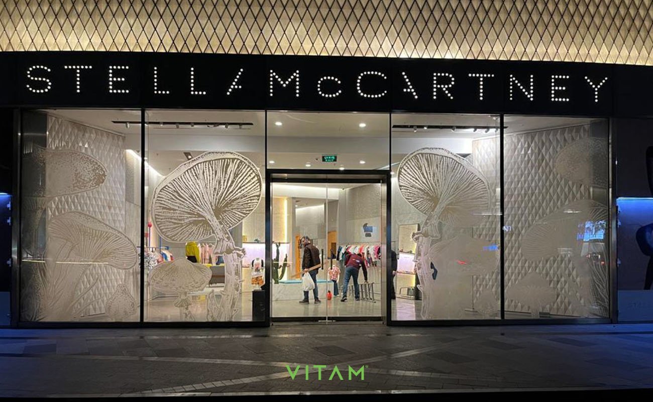 VITAM VISUALS — Projects