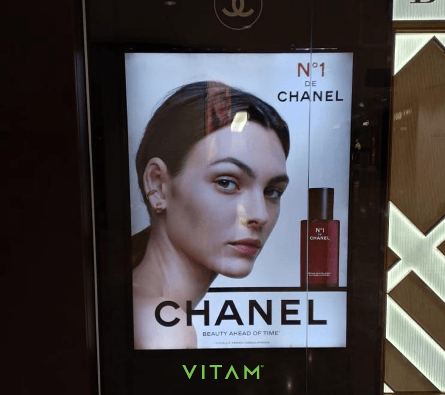 VITAM VISUALS — Max Mara