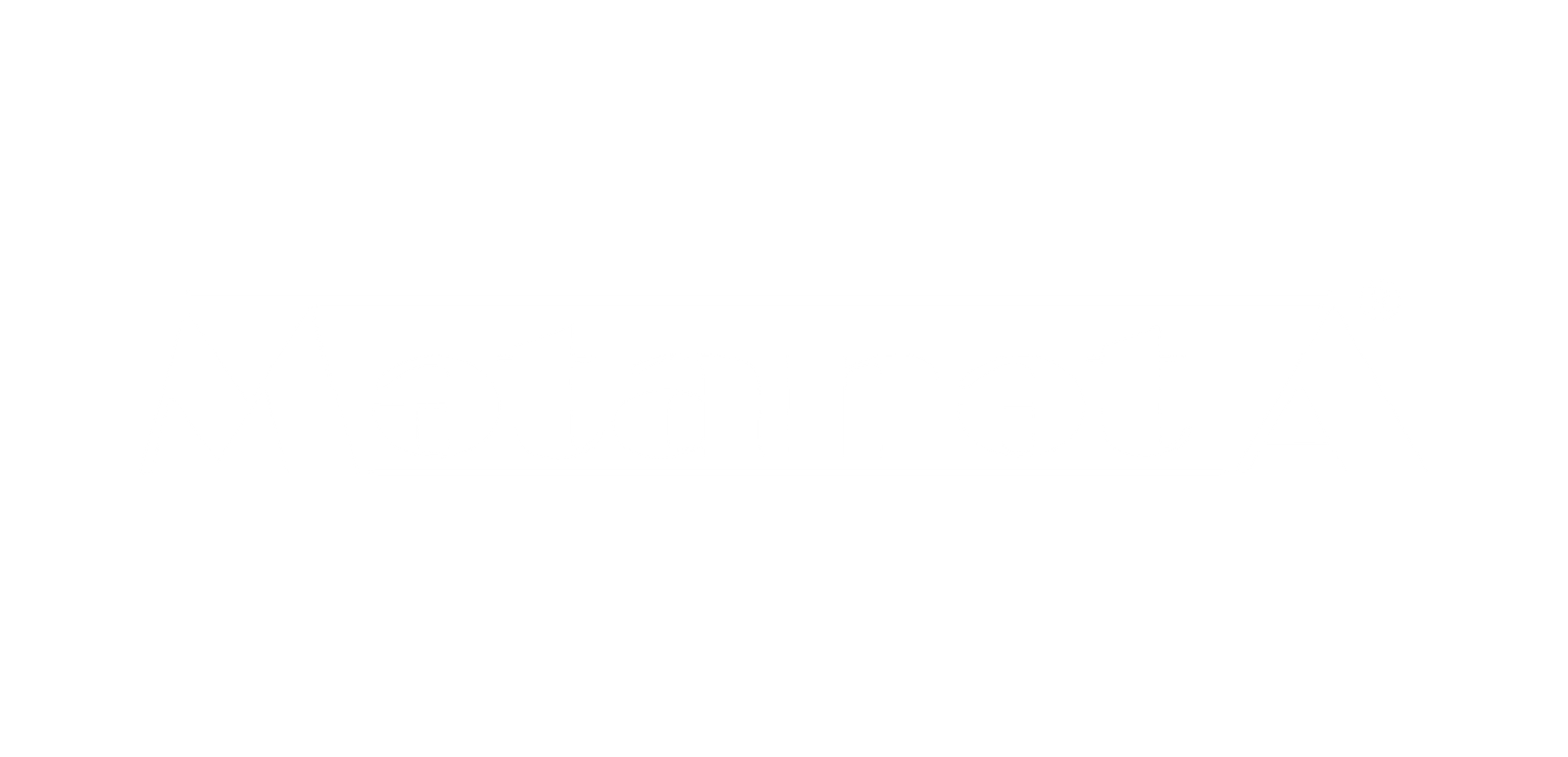 Metanet A